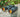 BINOCULARS BUYING GUIDE