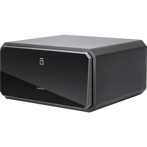 1.09 Cu. ft Touchscreen Biometric Keypad Security Safe | AX13934