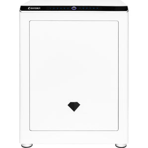 Diamond 2.4 Cu. ft Touchscreen Biometric Keypad Security Safe | AX13940