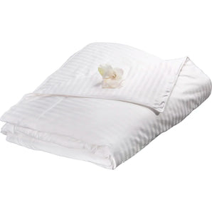 Aus Vio 100% Natural Charmeuse Silk Satin Winter Filled Comforter, Queen, Ivory | BM12046