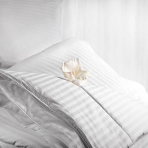 Aus Vio 100% Natural Charmeuse Silk Satin Winter Filled Comforter, Queen, Ivory | BM12046