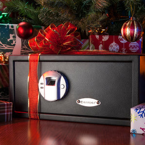 0.79 Cu. ft Biometric Security Safe | AX11224