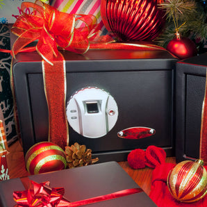 0.29 Cu. ft Biometric Security Safe | AX11620